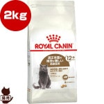 륫ʥ FHN ƥ饤 12+ 2kg