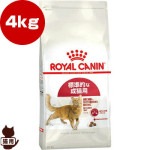 ������륫�ʥ� FHN �ե��å� 4kg