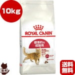 ������륫�ʥ� FHN �ե��å� 10kg