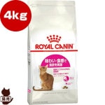 ������륫�ʥ� FHN �����С� ������������� ̣�襤������ 4kg