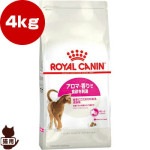 ������륫�ʥ� FHN ������ ������������� �����ޡ���� 4kg