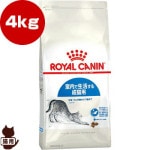 ������륫�ʥ� FHN ����ɥ� 4kg