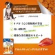���ò�������!!�ۥ����ͥ��㡼�� �ɥå������ȥߥ륯 �Х饨�ƥ����ѥå� ����ߣ��� �ե��󥿥������� ����̵��