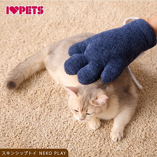 �ͥ��ץ쥤 ���� �ܥ�ӥ��륳��