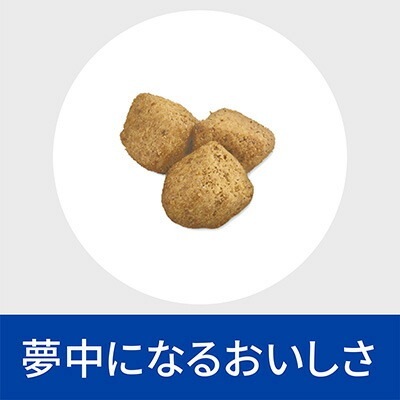 �ҥ륺 �ץꥹ����ץ����������å� ǭ�� �᥿�ܥ�å��� �ɥ饤 500g�ߣ���