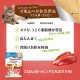 �����ͥ��㡼�� ����åȥ����ȥߥ륯 �ĥʥࡼ�� ���ߥ塼�󥷥��ƥ� 70g �ե��󥿥�������