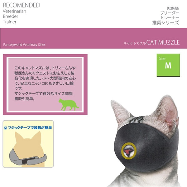 ������åȥޥ���M�ե��󥿥�������