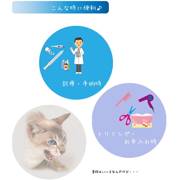 ������åȥޥ���M�ե��󥿥�������