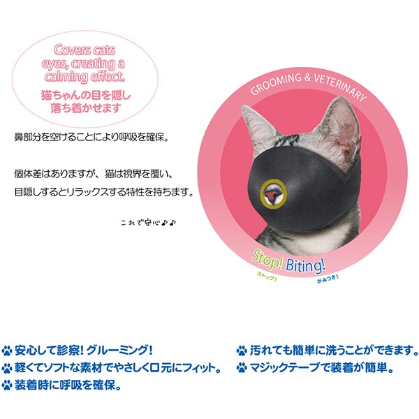 ������åȥޥ���M�ե��󥿥�������