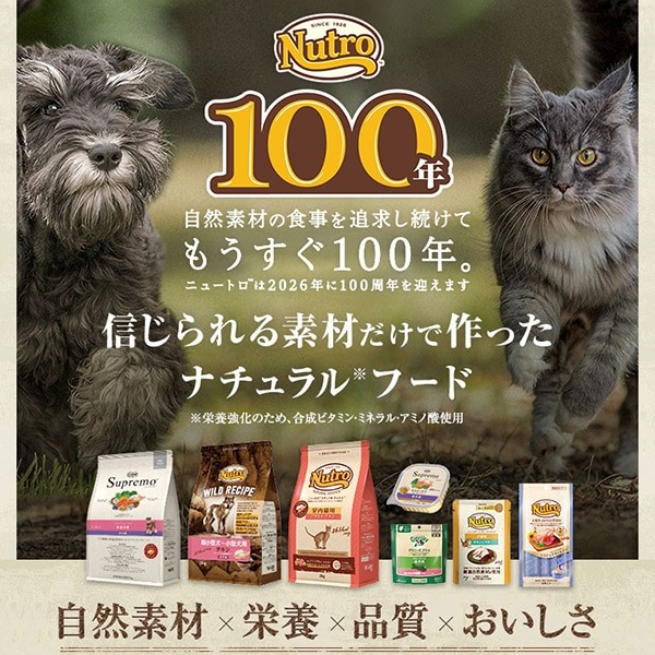 未使用nutroニュートロ ナチュラル チョイス小型犬用チキン&玄米3kg×2