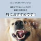 �ƥ����� ��ǭ�ѥ�����륱�� 50mL ���˥ޥ���