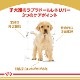 ������륫�ʥ� BHN ��֥�ɡ����ȥ�С� �Ҹ��� 3kg