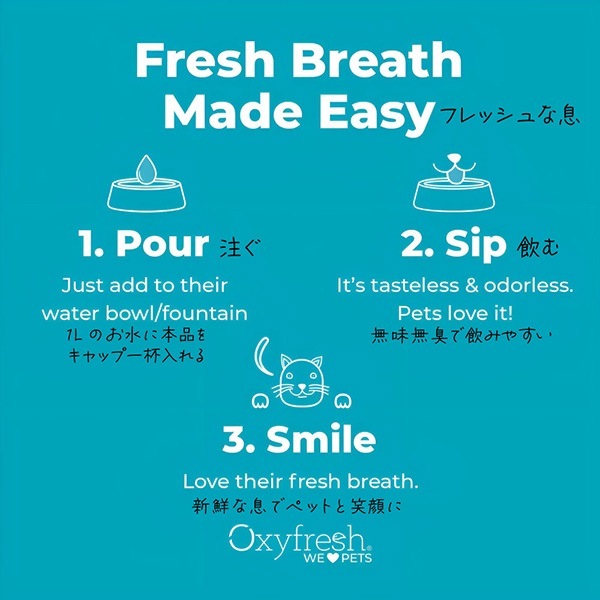 �������ե�å��� �������������ǥ��ƥ��� �ǥ󥿥륱�� 237mL