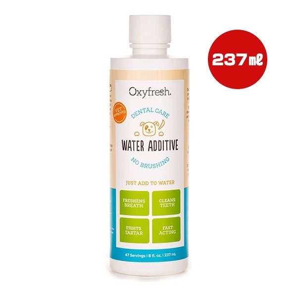 �������ե�å��� �������������ǥ��ƥ��� �ǥ󥿥륱�� 237mL
