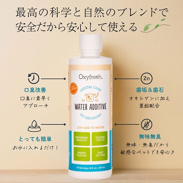 �������ե�å��� �������������ǥ��ƥ��� �ǥ󥿥륱�� 237mL