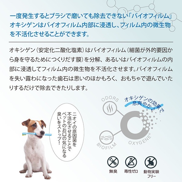 �������ե�å��� �������������ǥ��ƥ��� �ǥ󥿥륱�� 237mL