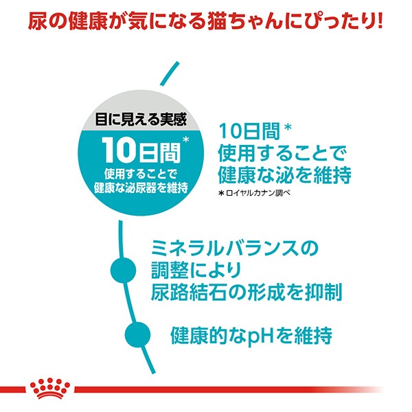 ������륫�ʥ� FCN ���ʥ꡼ ���� 400g