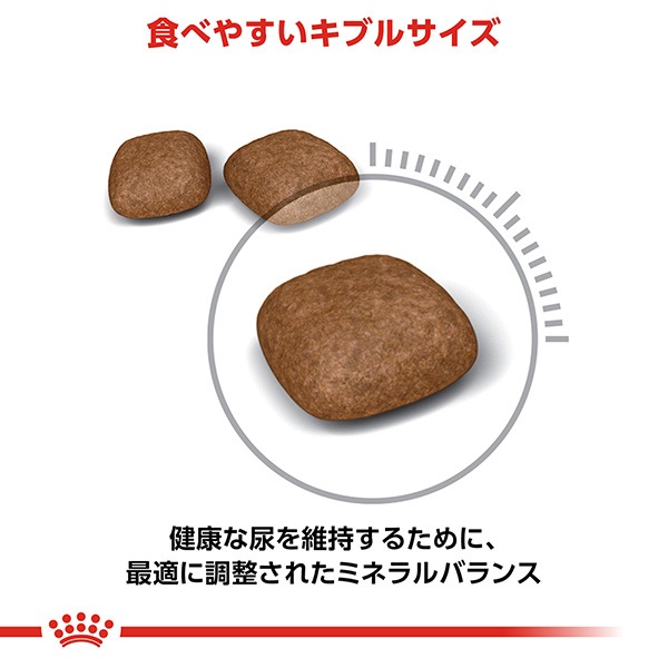 ������륫�ʥ� FCN ���ʥ꡼ ���� 400g