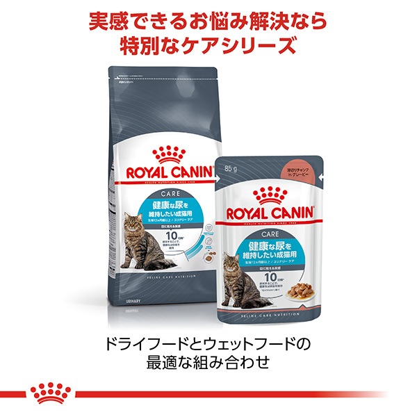 ������륫�ʥ� FCN ���ʥ꡼ ���� 400g