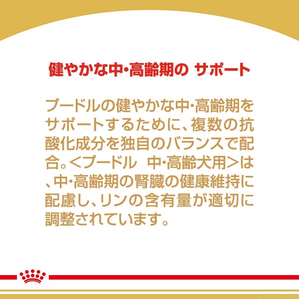 륫ʥ BHN סɥ 桦 800g