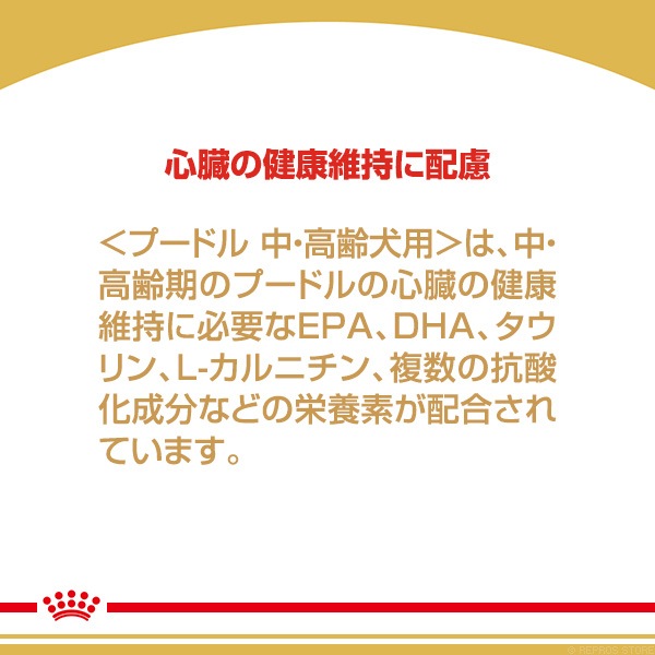 륫ʥ BHN סɥ 桦 800g