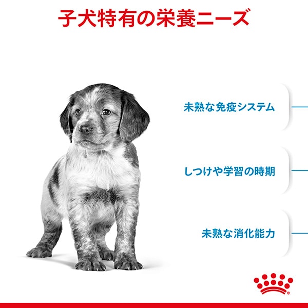ロイヤルカナン,ドッグフード,サイズヘルスニュートリション
