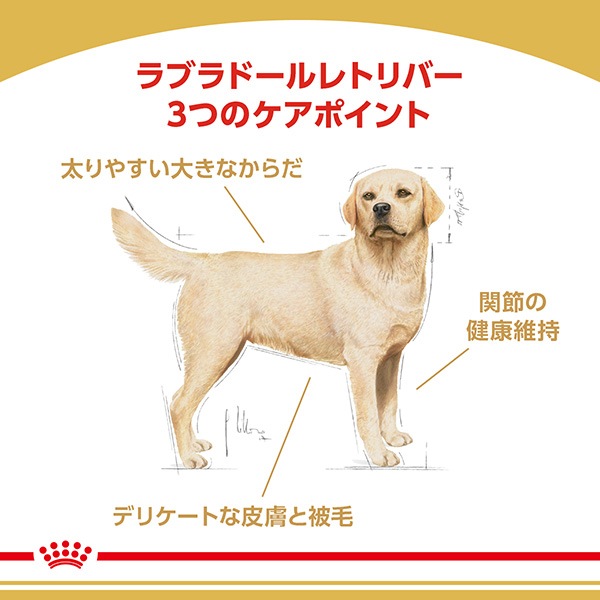 ������륫�ʥ� BHN ��֥�ɡ����ȥ�С� ������������ 3kg