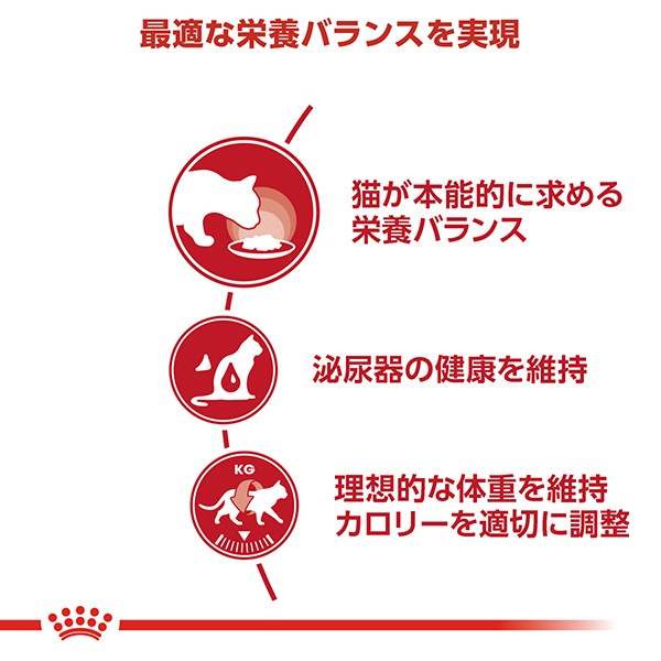 ������륫�ʥ� ���󥹥ƥ��󥯥ƥ��� ���졼�ӡ� 85g��24��