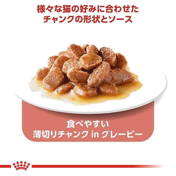 ������륫�ʥ� ���󥹥ƥ��󥯥ƥ��� ���졼�ӡ� 85g��24��