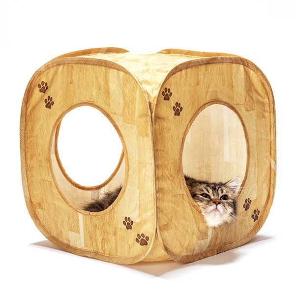 ����åȥץ쥤���塼�� ������ ǭ��