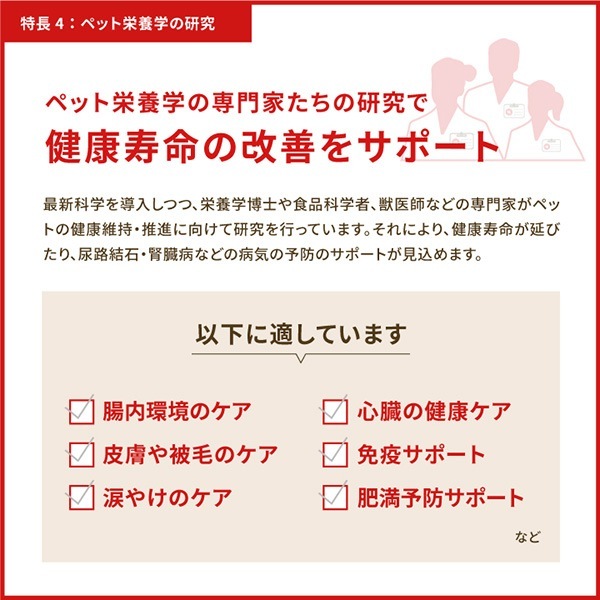 �ڥ����ڡ�����ʡۥ����� �ץ쥤�꡼�ݡ��ȥ꡼�쥷�� 2kg ��t �ڥå� �ա��� �� �ɥå� �ɥ饤�ա��� ��������ǯ���� ������ܿ� ACANA