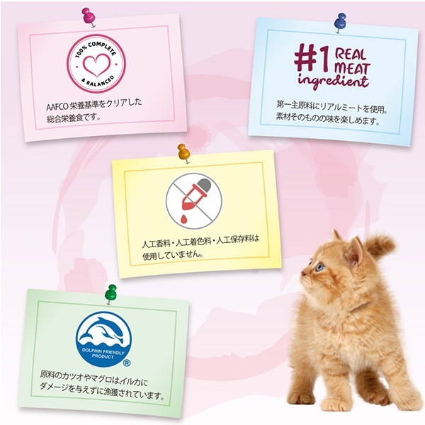 �����ͥ��㡼�� ���졼�ӡ������� �ĥʡ����ˤ��� 50g �ե��󥿥�������
