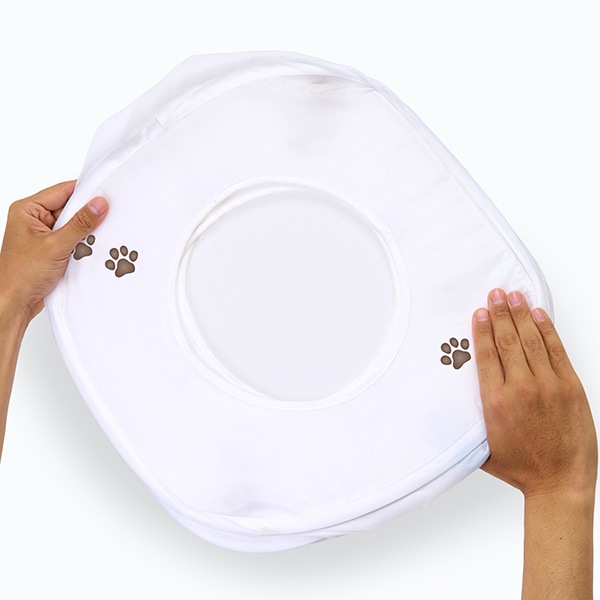 ����åȥץ쥤���塼�� �ۥ磻�� ǭ��