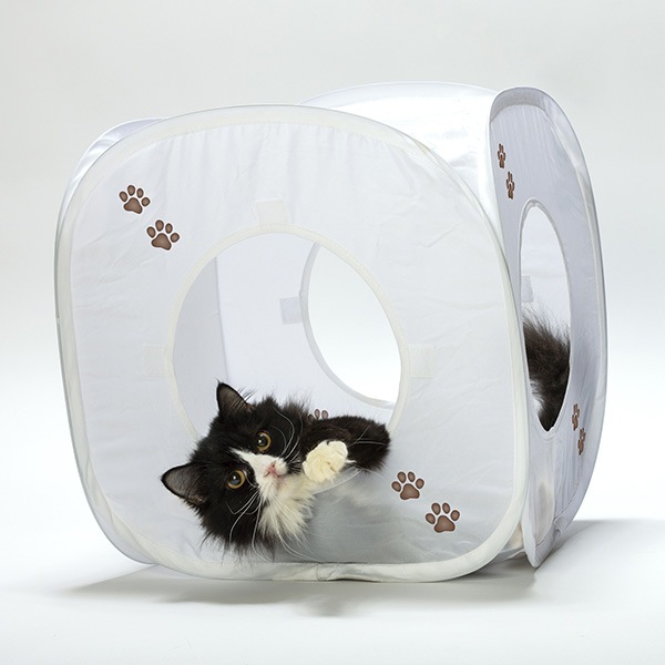 ����åȥץ쥤���塼�� �ۥ磻�� ǭ��