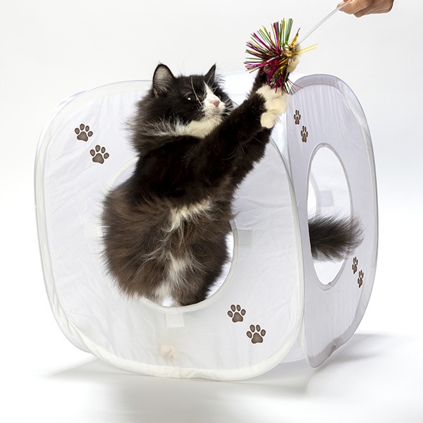 ����åȥץ쥤���塼�� �ۥ磻�� ǭ��