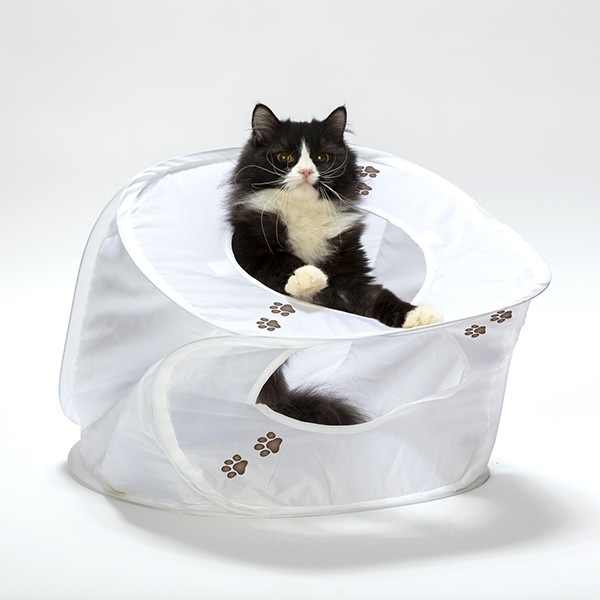 ����åȥץ쥤���塼�� �ۥ磻�� ǭ��