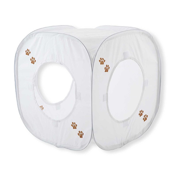 ����åȥץ쥤���塼�� �ۥ磻�� ǭ��