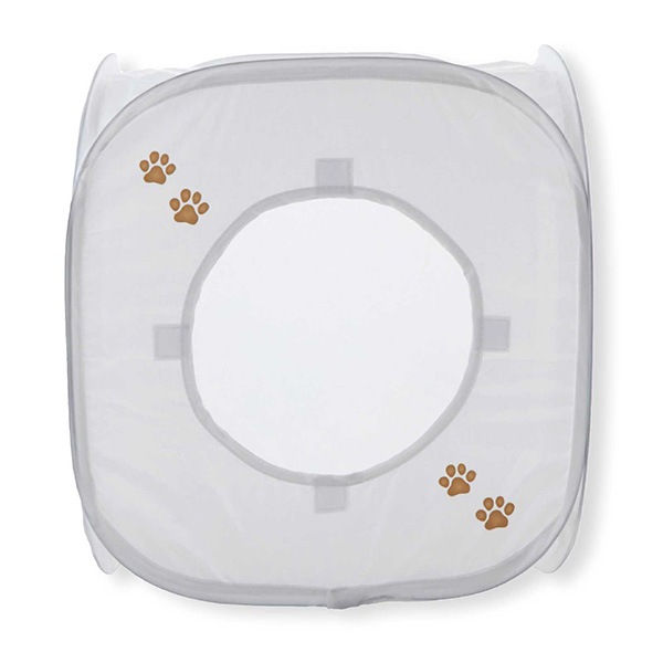 ����åȥץ쥤���塼�� �ۥ磻�� ǭ��