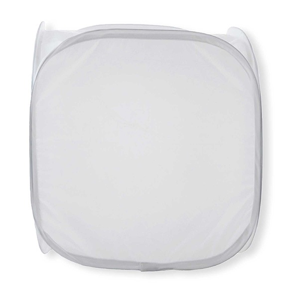 ����åȥץ쥤���塼�� �ۥ磻�� ǭ��