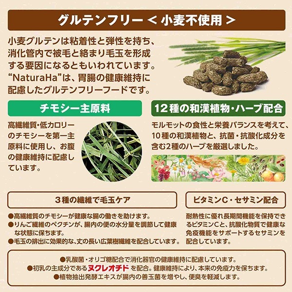 �ʥ����� ����ƥ�ե꡼ 12��֥��� ����å����� 800g��2�� �ޥ륫��