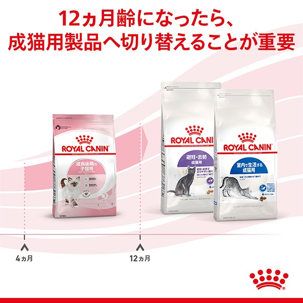 ������륫�ʥ� FHN ���ȥ� 2kg