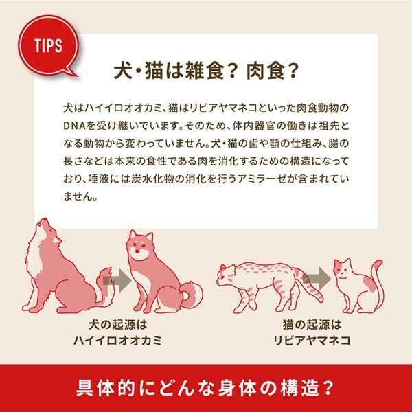 �ڥ����ڡ�����ʡۥ����� ��åɥߡ��ȥ쥷�� 2kg ��t �ڥå� �ա��� �� �ɥå� �ɥ饤�ա��� ��������ǯ���� ������ܿ� ACANA