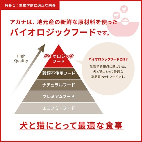 ڥڡʡۥ åɥߡȥ쥷 9.7kg2 t ڥå ա  ɥå ɥ饤ա ǯ ܿ ACANA ̵