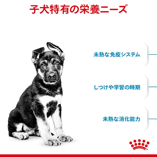 ������륫�ʥ� SHN �ޥ��� �ѥԡ� 10kg ����̵��