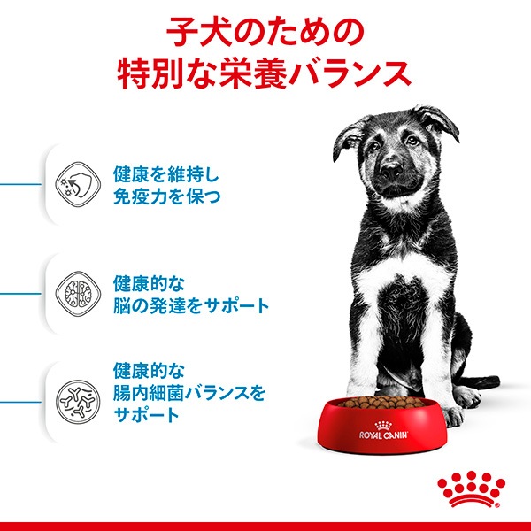 ������륫�ʥ� SHN �ޥ��� �ѥԡ� 10kg ����̵��