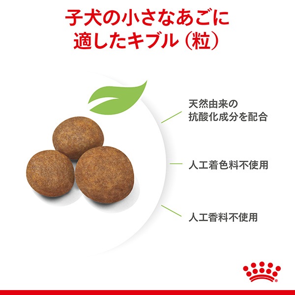 ������륫�ʥ� SHN �ޥ��� �ѥԡ� 10kg ����̵��