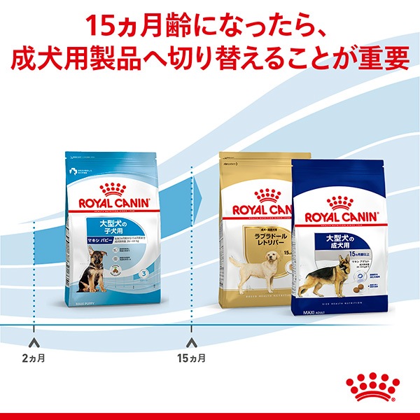 ������륫�ʥ� SHN �ޥ��� �ѥԡ� 10kg ����̵��