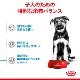 ������륫�ʥ� SHN �ޥ��� �ѥԡ� 10kg ����̵��