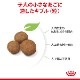 ������륫�ʥ� SHN �ޥ��� �ѥԡ� 10kg ����̵��