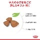 ������륫�ʥ� SHN �������ȥ饹�⡼�� �ѥԡ� 800g